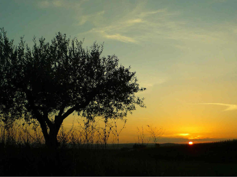 Alentejo Potugal