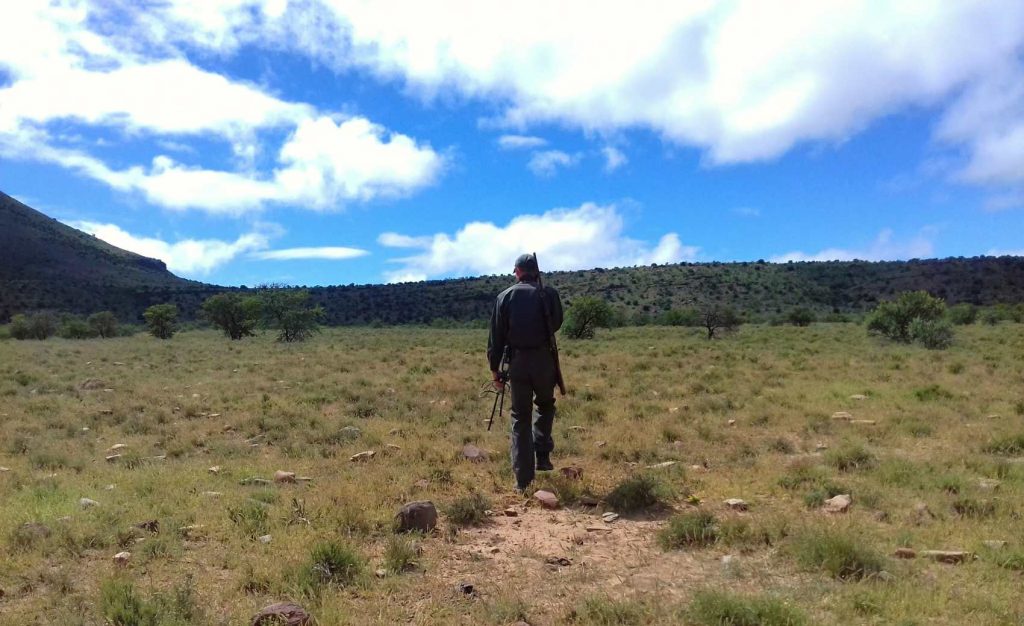 National Zebra Park South Africa 1